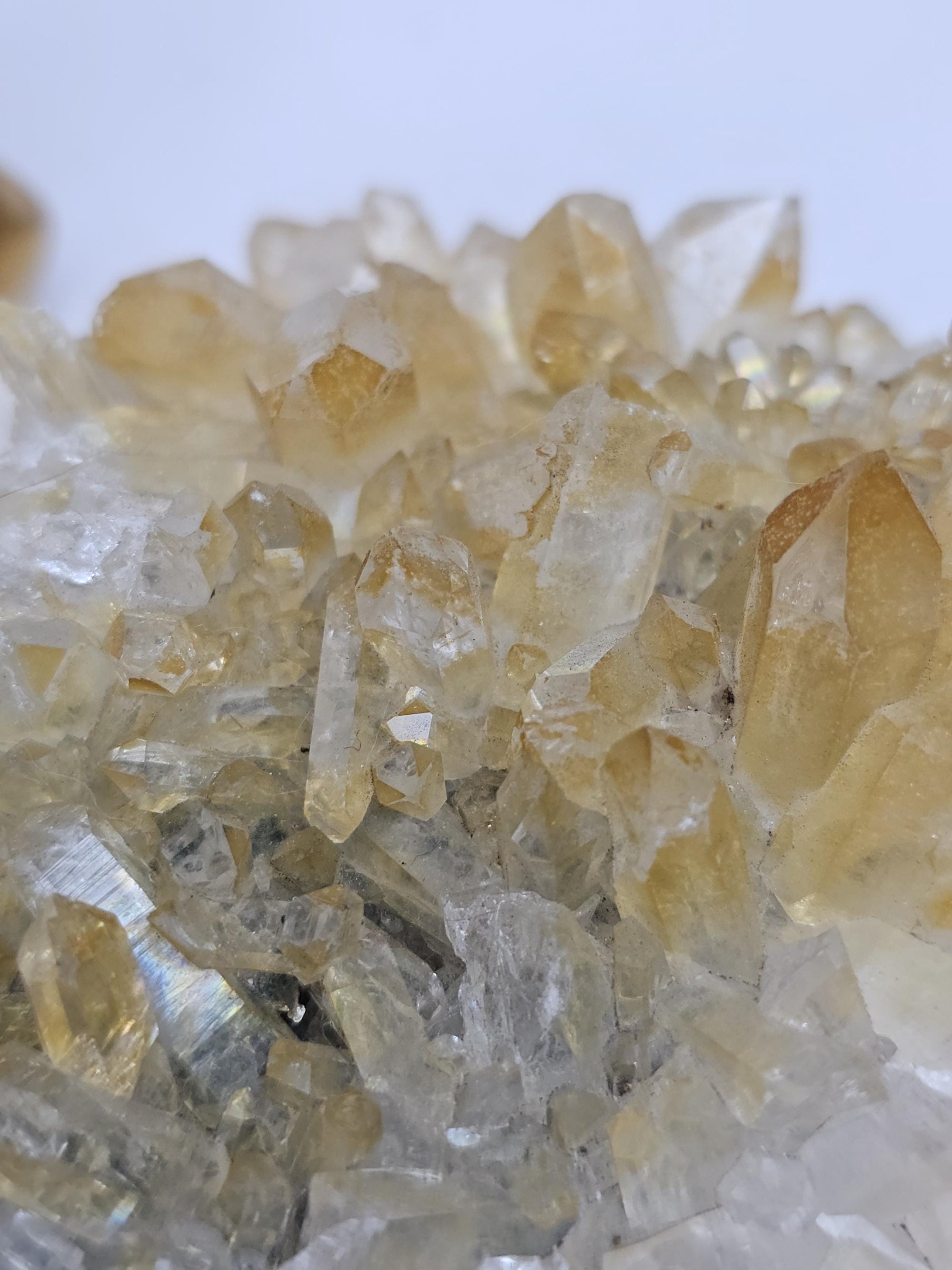 RARE Golden Healer Quartz Cluster,  Columbia, Crystal Cluster