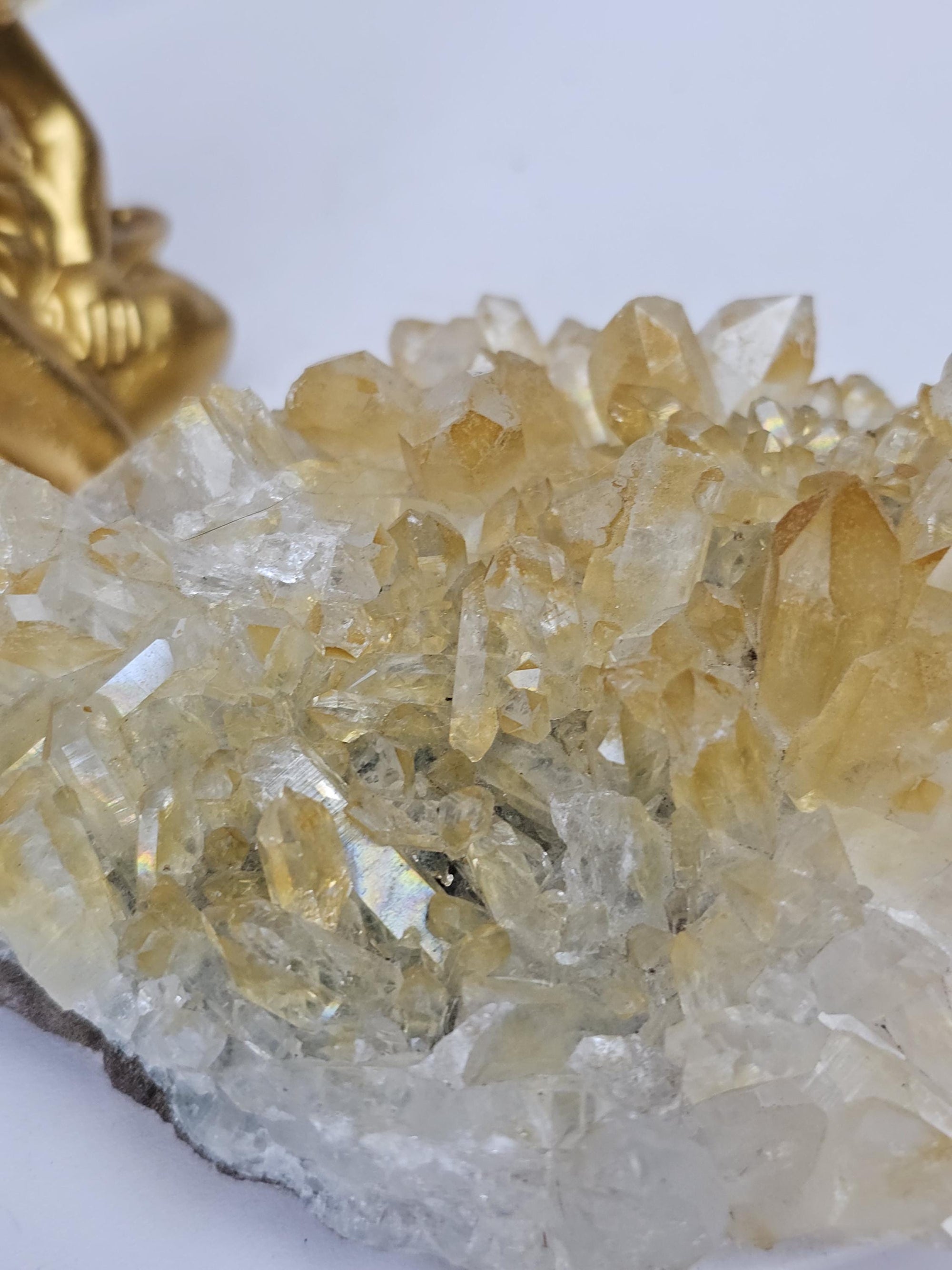RARE Golden Healer Quartz Cluster,  Columbia, Crystal Cluster