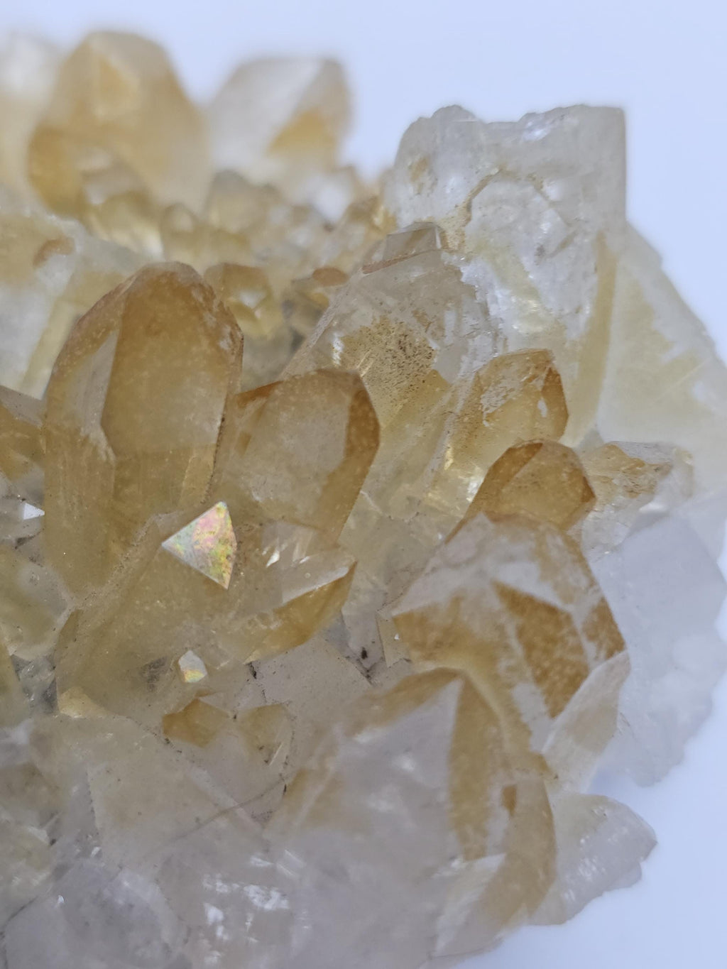 RARE Golden Healer Quartz Cluster,  Columbia, Crystal Cluster