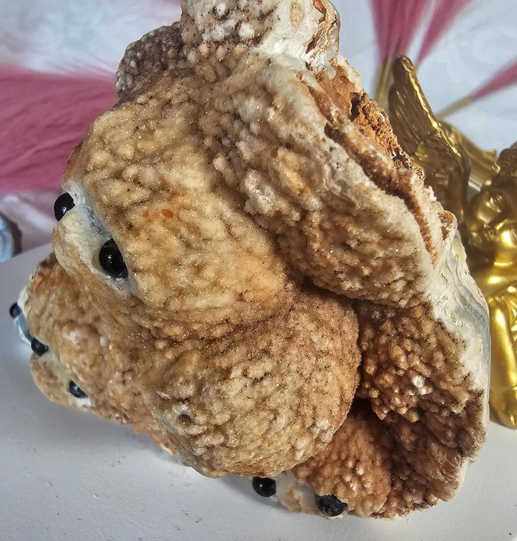 Lg Hedgehog Crystal, Druzy Agate, Gift for Her