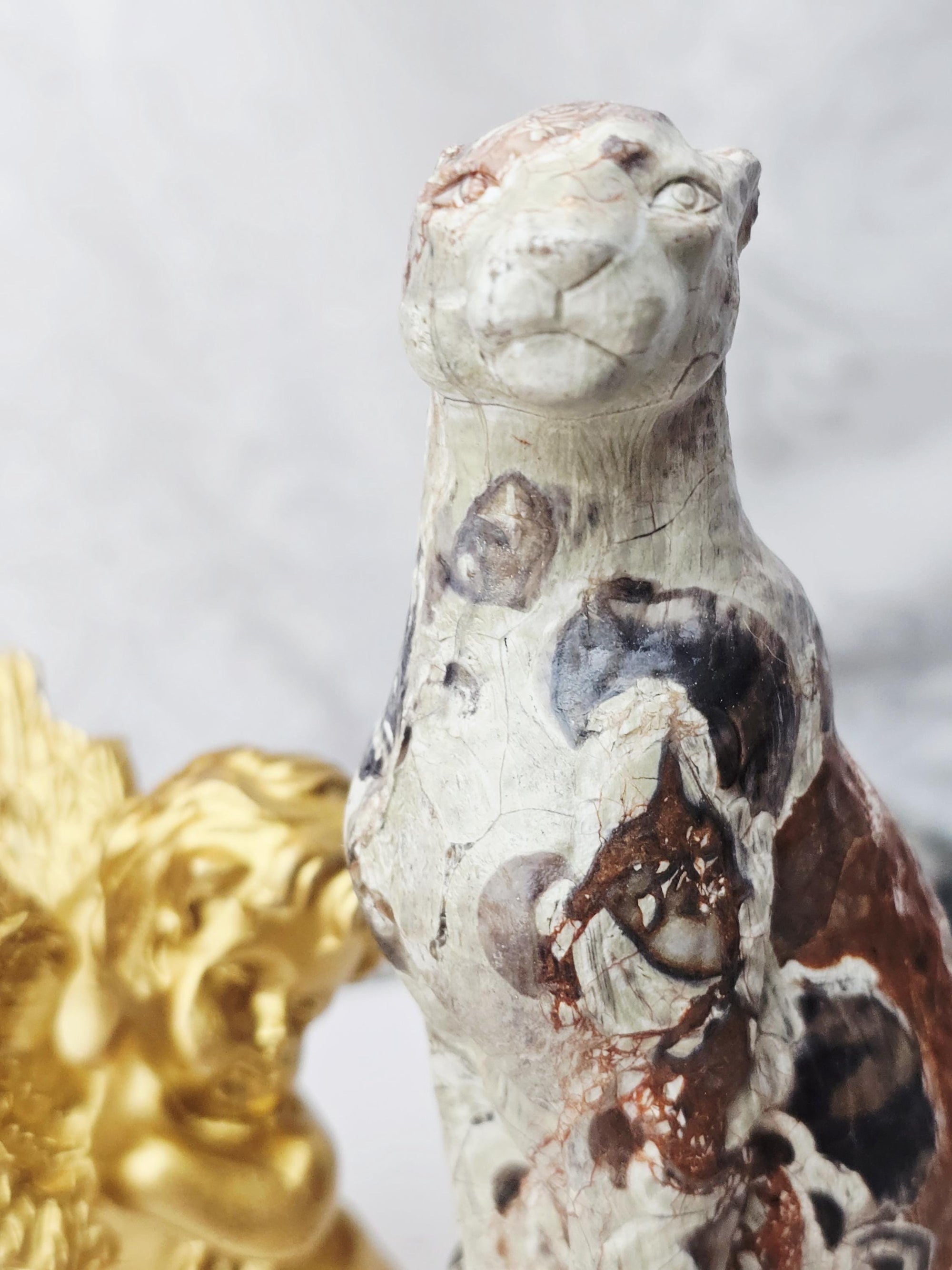 Leopard, Money Agate Leopard, Safari, Kitty,Cat, Metaphysical Crystals, Meditation Gemstones,