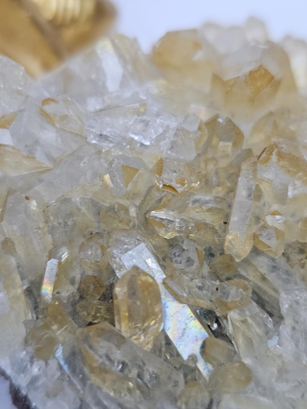 RARE Golden Healer Quartz Cluster,  Columbia, Crystal Cluster
